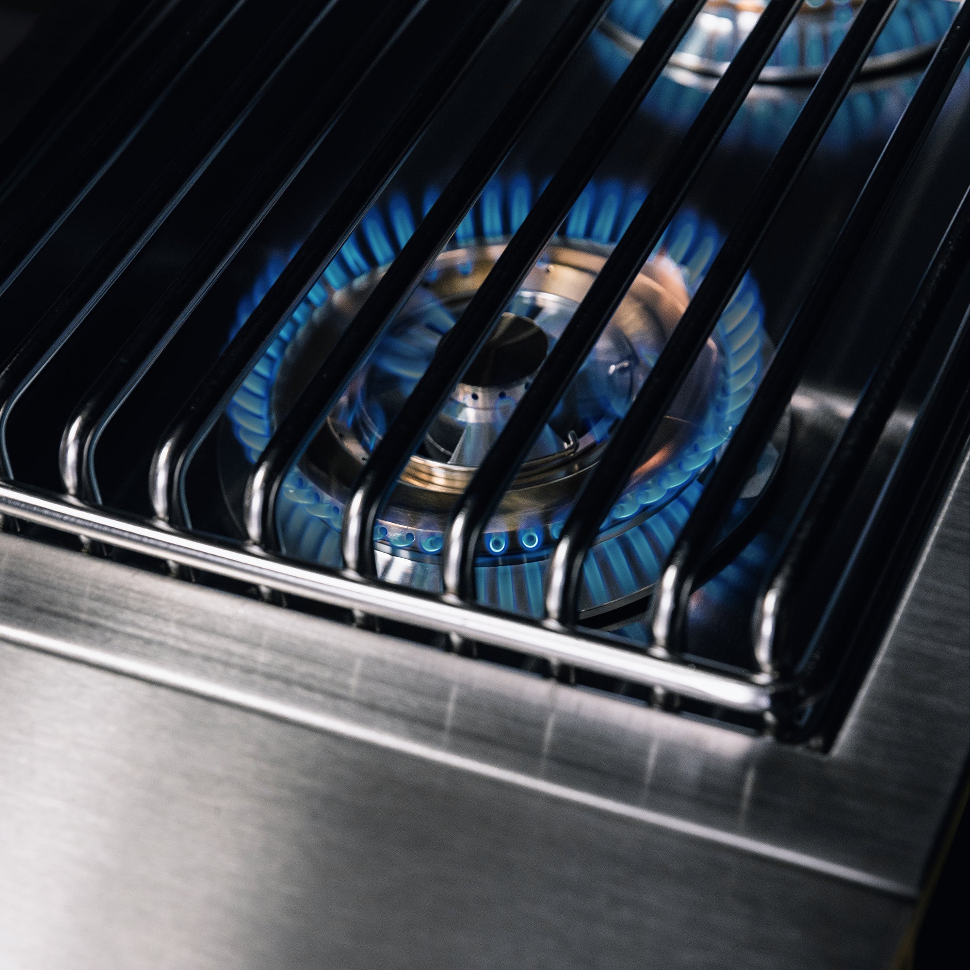 TrueFlame Double Side Burner