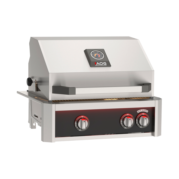 American Outdoor Grill 24" L-Series Built-In Gas Grill with Lights