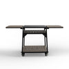 Bull Dual Fuel Pizza Oven Cart | SKU 69577 thumbnail