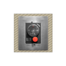 Firegear Gas Timer Surface Mount Enclosure (ESTOP-RM-KIT)
